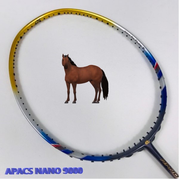 vợt cầu lông apacs nano 9000